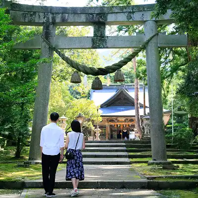 画像:杉木立に囲まれた境内