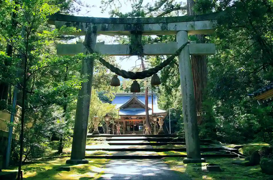 画像:井波八幡宮の鳥居と正面外観
