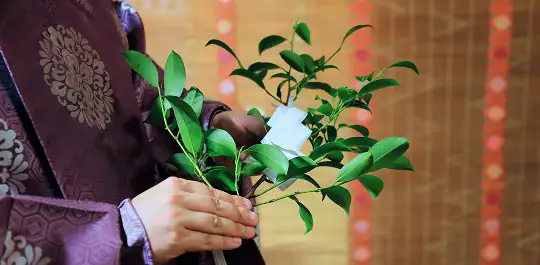 画像:神主が榊を持つ手元